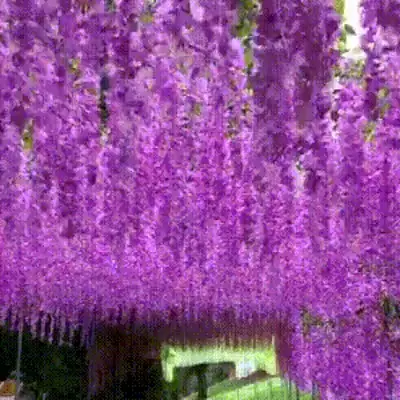 💧 Без нужда от поддръжка и дълготрайни